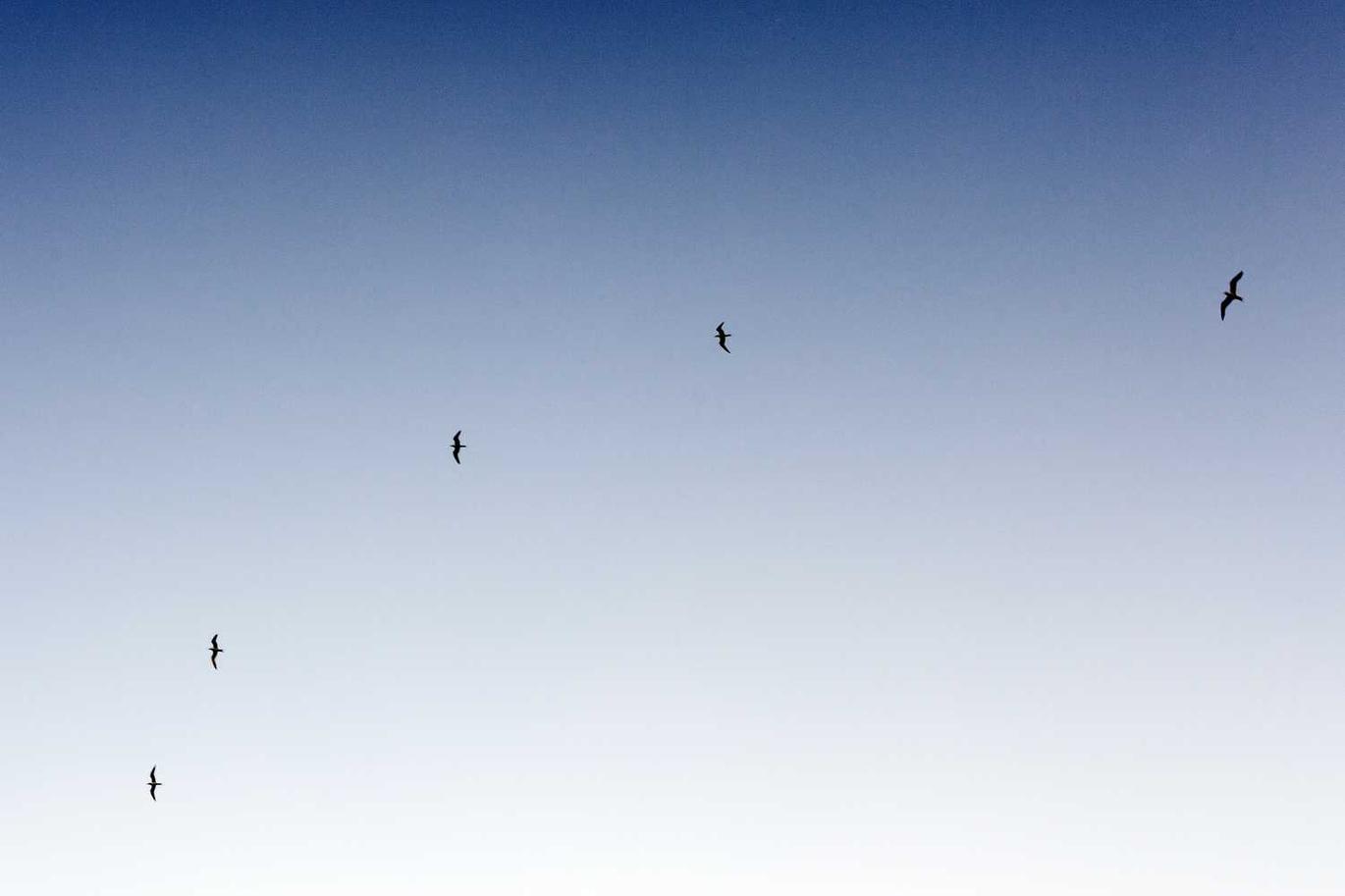 Enim quas est vel non et et quaerat